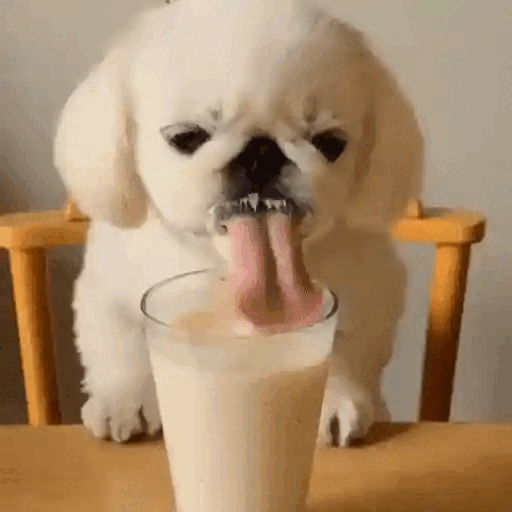 Puppy Loves Milkshake
