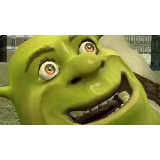Shrek's Enthusiastic Grin