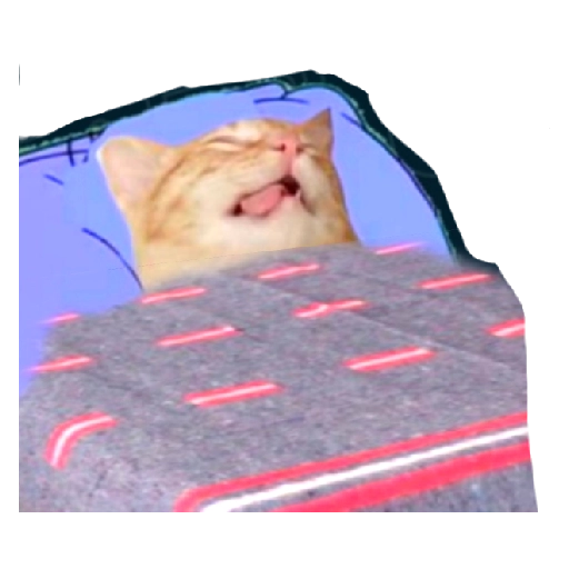 Cat Enjoying a Cozy Nap