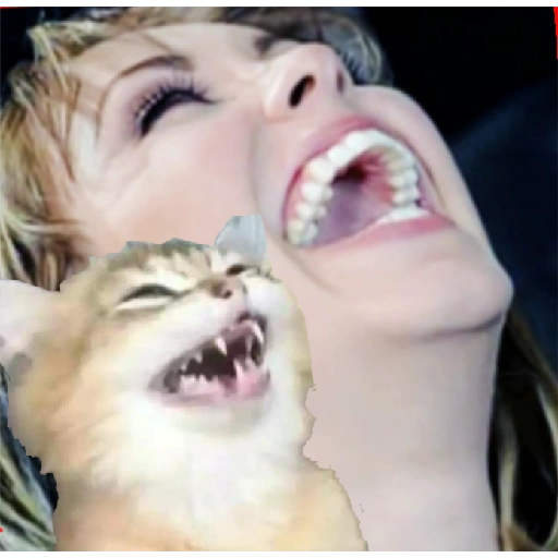 Laughing with My Cat