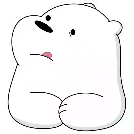 Curious Polar Bear