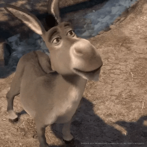 Donkey being sassy