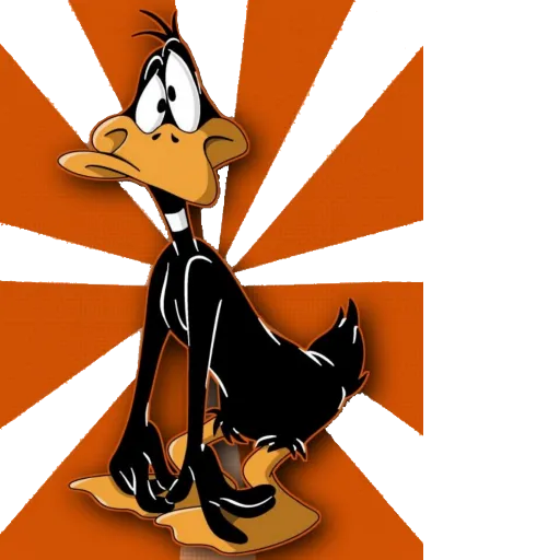 Confused Duck Moment