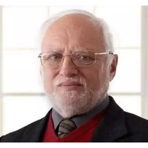 Hide the Pain Harold