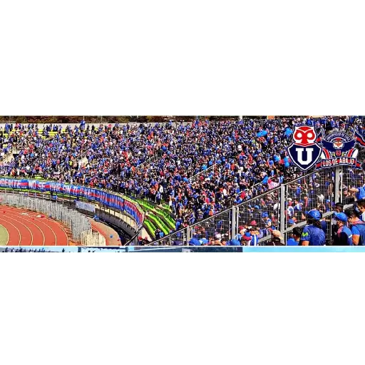 Packed Stadium Football Fans