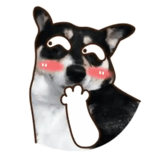 Shy Dog Blush