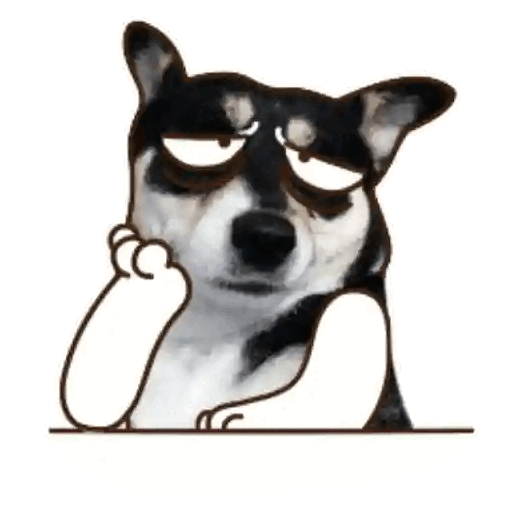 Bored Dog Expression