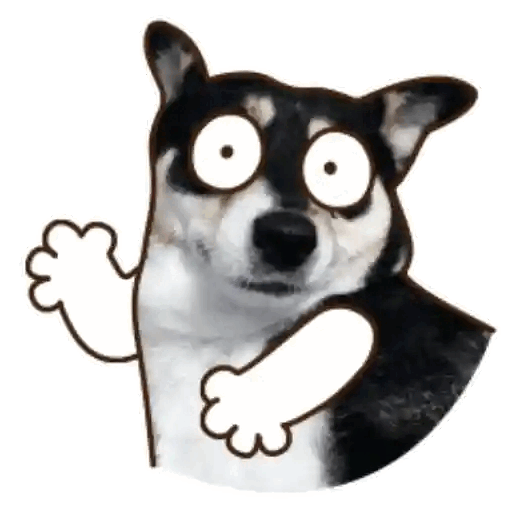 Surprised Doggo Alert