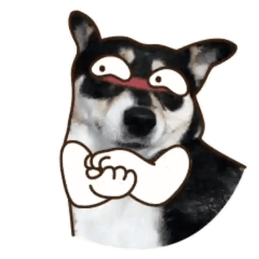Dog Side Eye