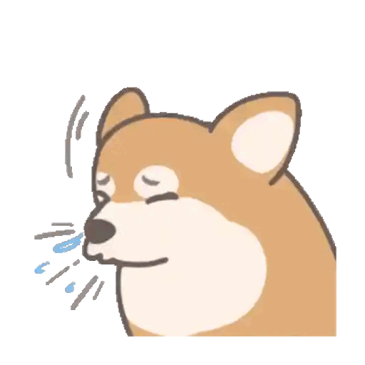Shiba Inu sneeze moment