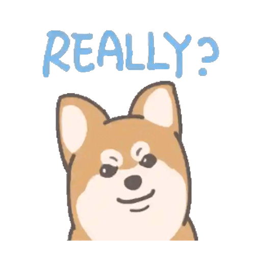 Dog with 'Really?' Expression