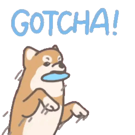 Playful Dog Saying Gotcha