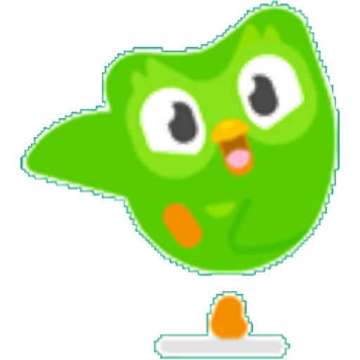Ready to learn owl