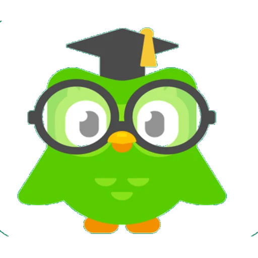 Studious Green Owl with Glasses