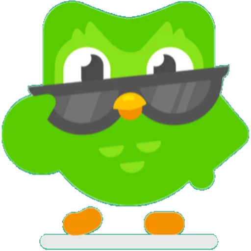 Cool owl with shades
