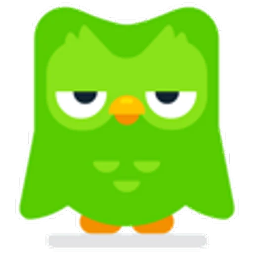 Judging duo bird