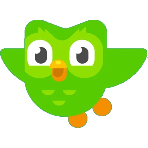 Cheerful Green Owl