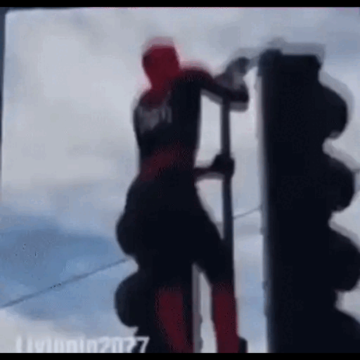 Spidey on a Traffic Light