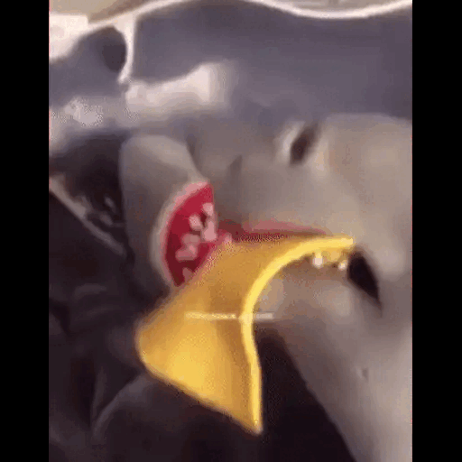 Shark Eating Doritos