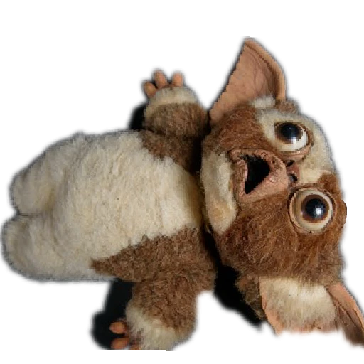 Surprised Gizmo Moment