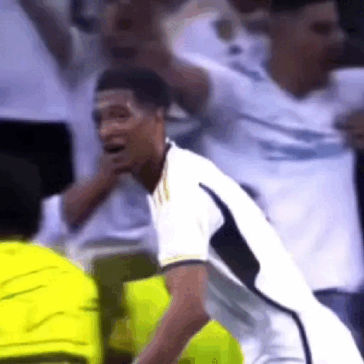 Celebrating the Goal