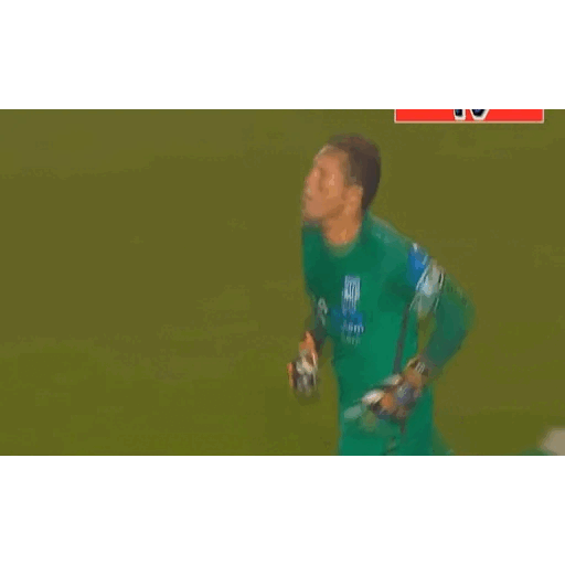 Goalkeeper Celebrating