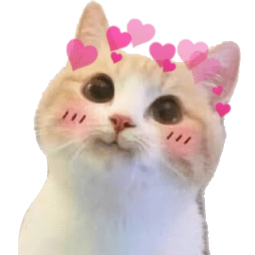 Adorable Blushing Cat with Hearts #2
