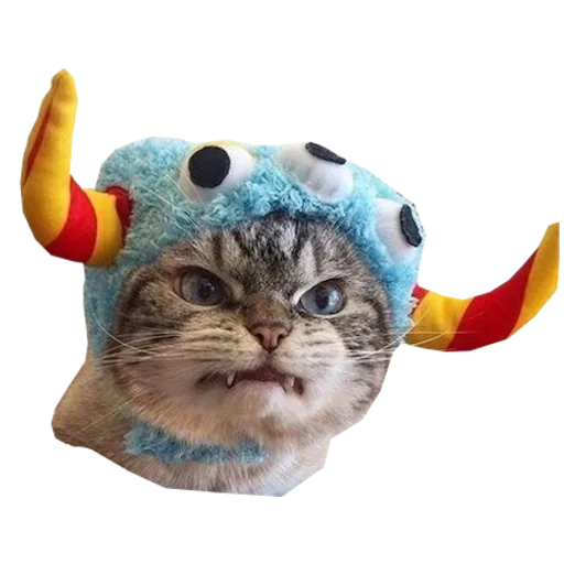 Angry Cat Monster Mode
