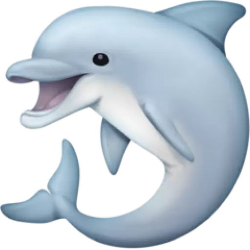 Happy Dolphin Splash