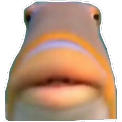 When the fish is suspicious