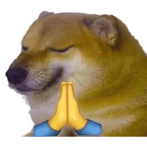 Grateful Doge Moment