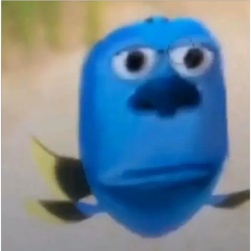 Confused Dory Moment