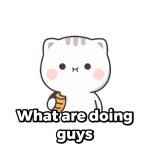 What are you doing guys