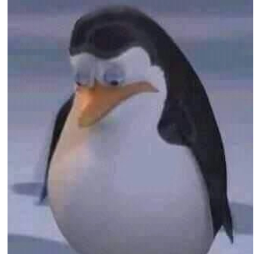 Sad penguin moment